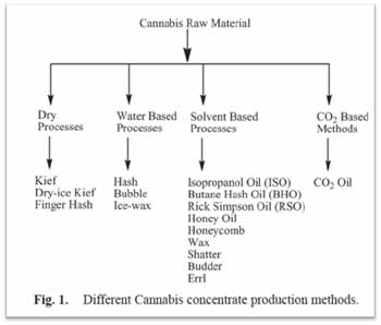 Raber et al, 2015