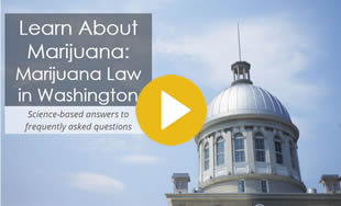 WA Law module