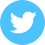 Twitter icon