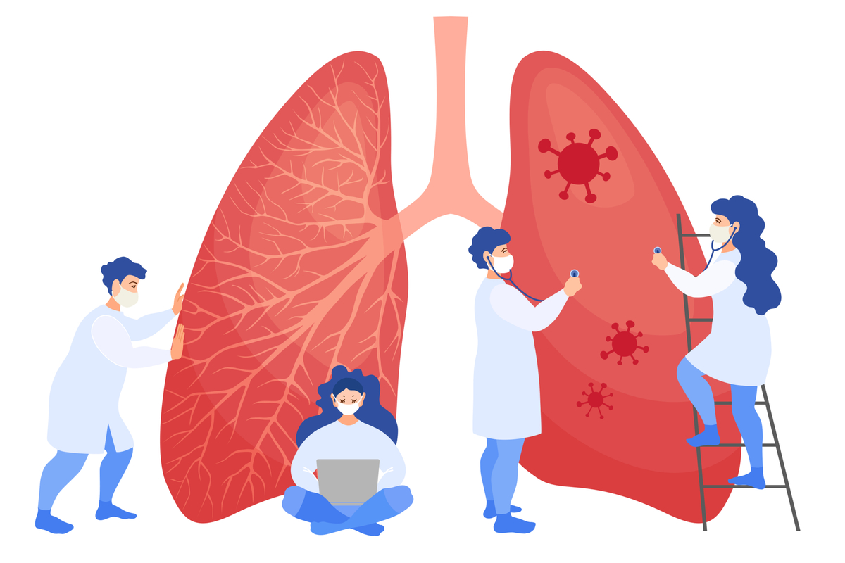 Illustration of lungs
