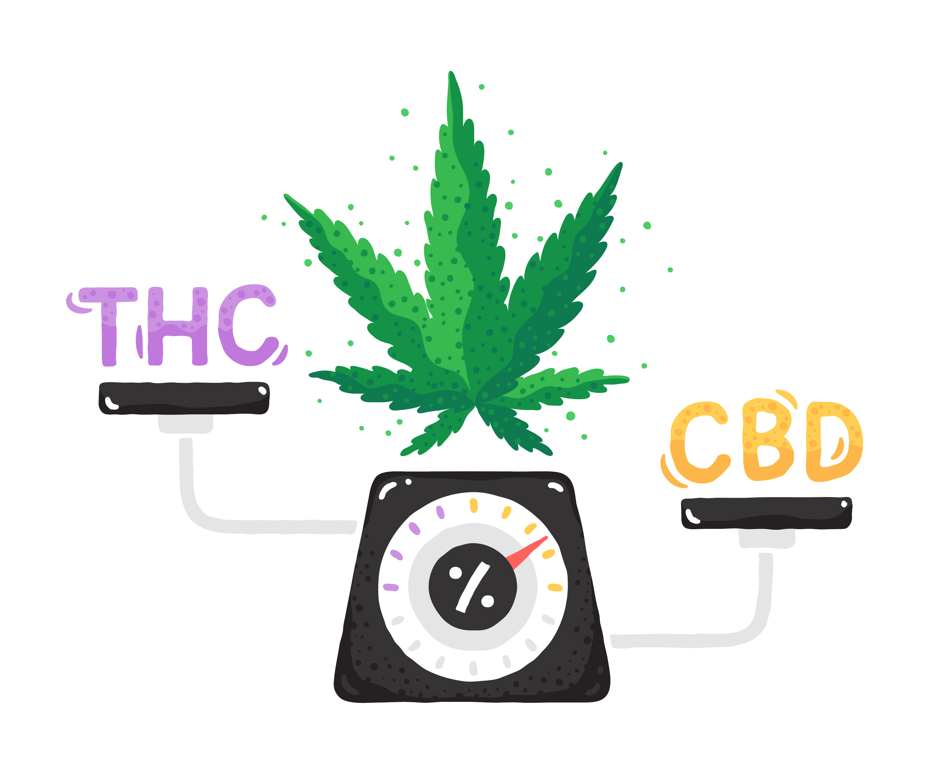 THC and CBD on a scale
